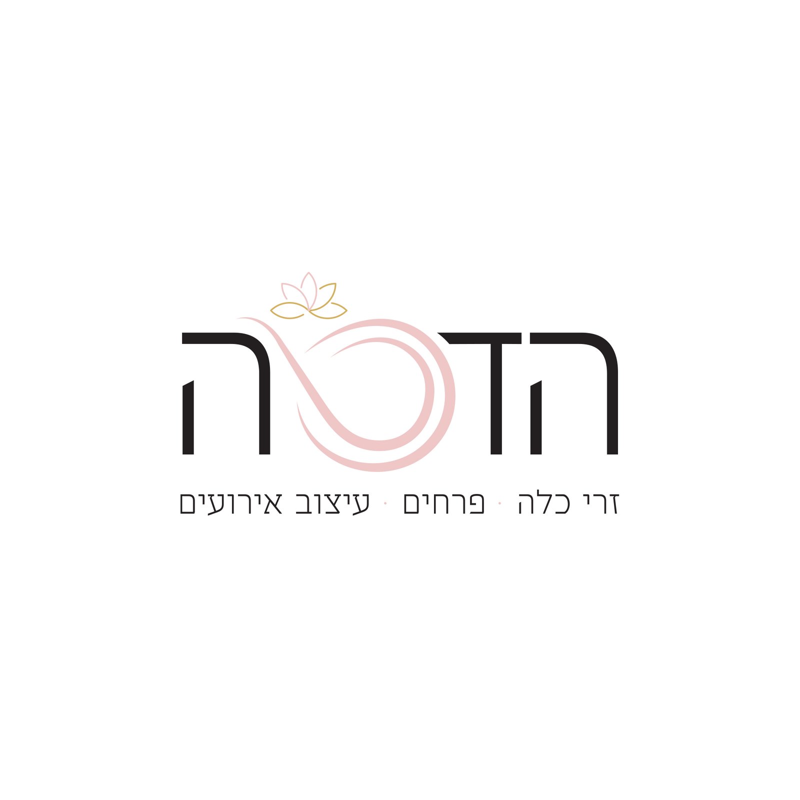 הדסה