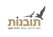 תובנות